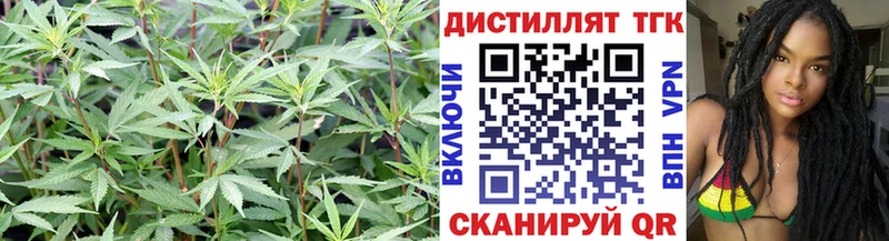 shop клад  ссылка на мегу tor  Дистиллят ТГК вейп с тгк  Гусев  купить наркотики сайты 