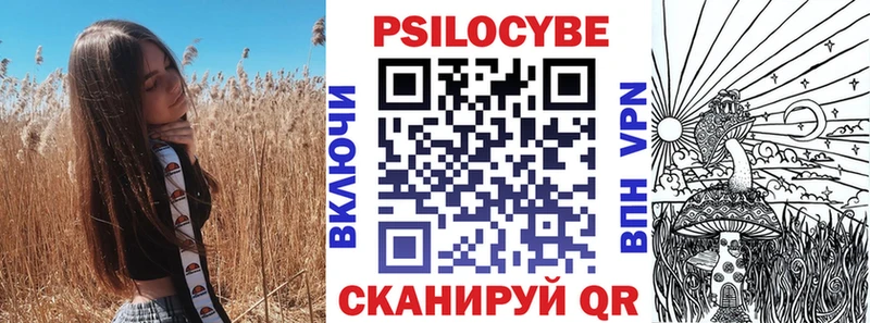 Галлюциногенные грибы ЛСД  даркнет как зайти  Гусев  как найти   OMG  