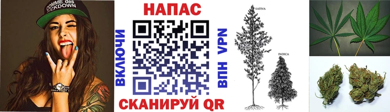 это клад  Гусев  Бошки Шишки THC 21%  наркота 